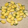 Price: €2 - Sementes de Habanero Marfim (Ivory) - Seeds Gallery