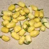 Semi di Peperoncino "Habanero Ivory" Avorio