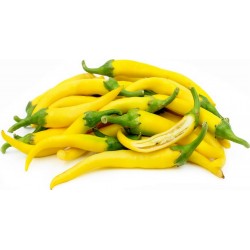 Price: €1.95 - Semillas de chile Oro Cayenne (Golden Cayenne) - Seeds Gallery