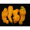 Sementes Da Pimenta - Goronong