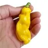 Semillas de Pimiento Habanero Goronong