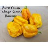 Price: €2 - Scotch Bonnet Yellow Frön - 