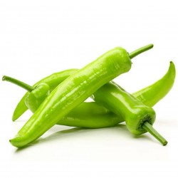 Price: €2.25 - Chili frön DZINKA Serbiska sorten - Seeds Gallery