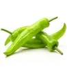 Sementes de pimenta DZINKA Sérvia variedade