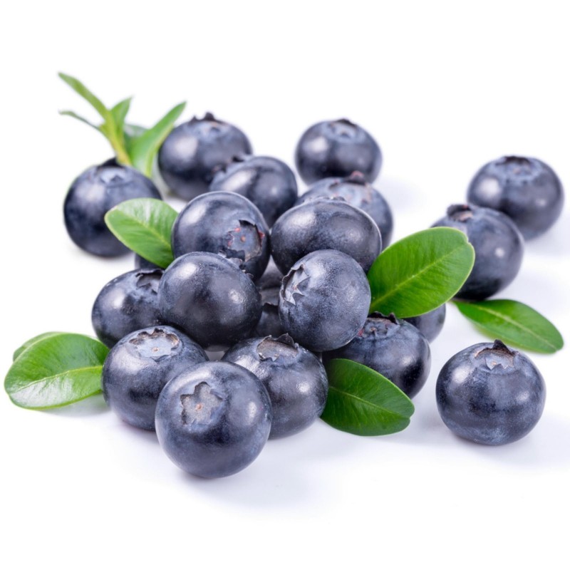 Price: €2.5 - Σπόροι Μυρτιλο Blueberries (Vaccinium angustifolium) - 