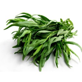 Mexican Tarragon Seeds (Tagetes lucida) - 1.755