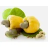 Sementes de castanha de caju, maçã de caju