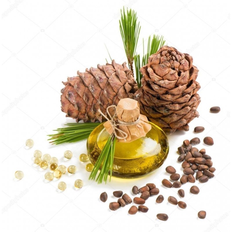 Samen Sibirische Zeder (pinus sibirica) | 8,00 €