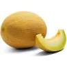 Semi Di Melone Ananas
