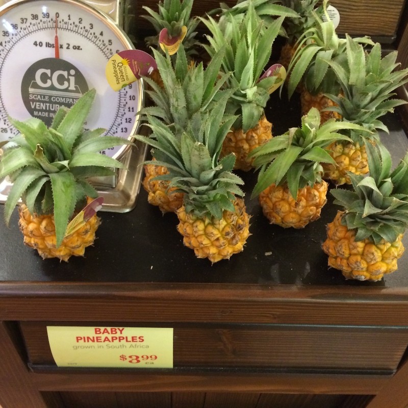 Price: €3 - Semillas Ananas nanus "Piña miniatura" - 