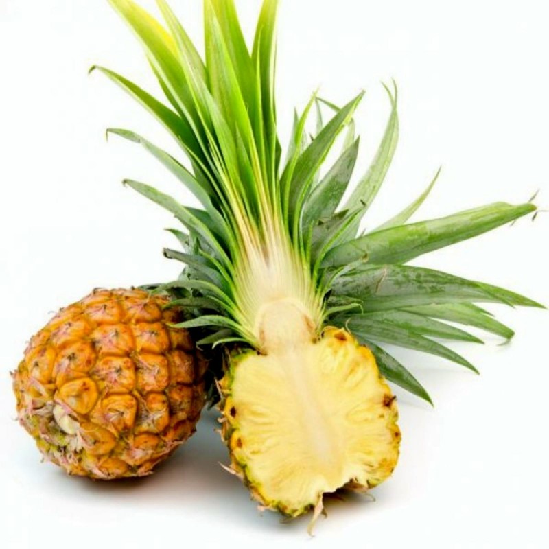 Semi di Ananas nanus "ananas miniatura" 3 - 5
