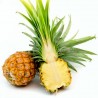 Price: €3 - Graines Ananas Miniature - Ananas nanus - 