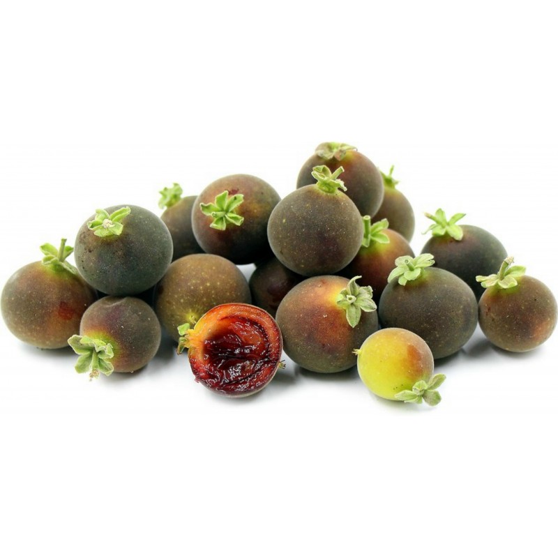 Price: €4 - Semi di Uva Spina Di Ceylon (Dovyalis hebecarpa) - 