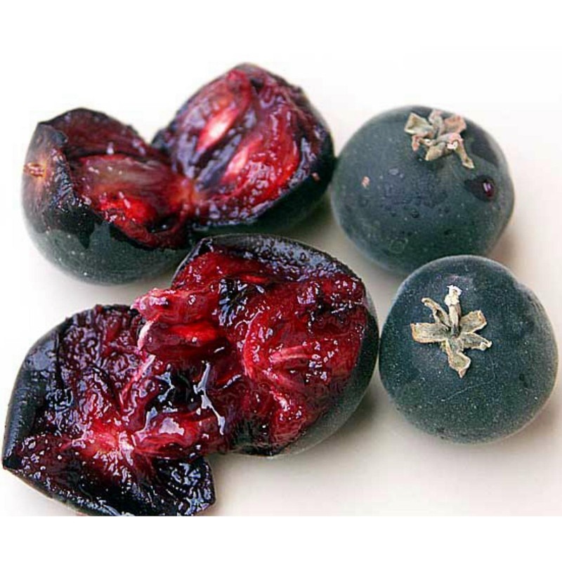 Price: €4 - Cejlonski Ogrozd Seme (Dovialis hebecarpa) - 