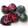 Price: €4 - Σπόροι Φραγκοστάφυλων Ceylon (Dovyalis hebecarpa) - 