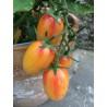 Price: €1.95 - ARTISAN BLUSH TIGER Tomatensamen - 
