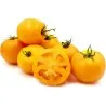 Graines Tomates jaunes-oranges Golden Jubilee