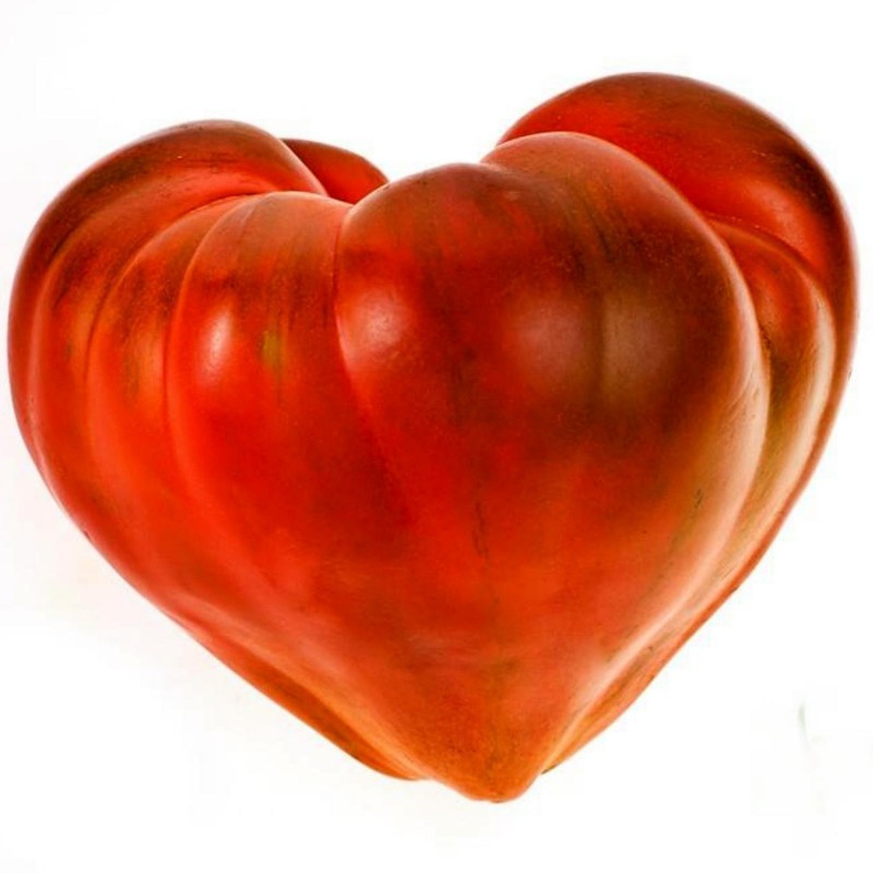 Tomato Seeds Oxheart - Bull's Heart 1.75 - 1