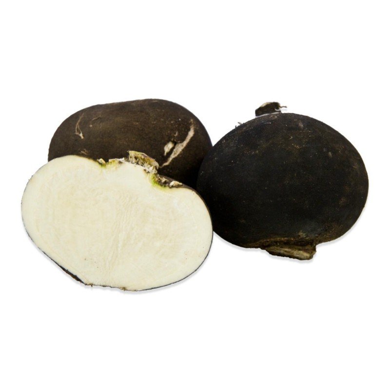 Price: €8 - Crna Zimska Rotkva 3.000 Semena (Raphanus sativus var.major) - 
