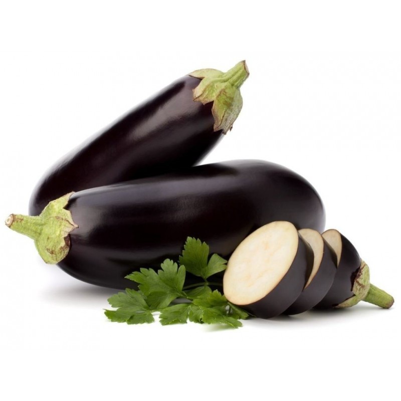 Aubergine Långa Inrikes frön