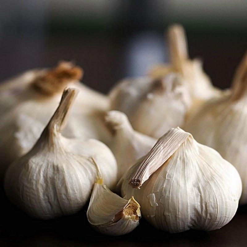 Price: €2.95 - German Extra Hardy Garlic cloves - Seeds Gallery