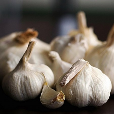 Price: €2.95 - German Extra Hardy Garlic cloves - Seeds Gallery