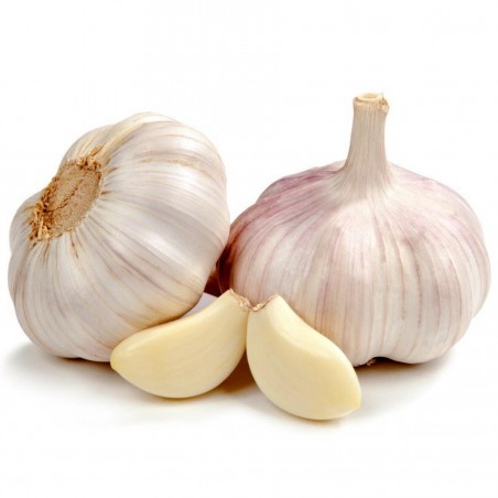 Price: €2.95 - German Extra Hardy Garlic cloves - Seeds Gallery