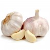 Price: €2.95 - German Extra Hardy Garlic cloves - Seeds Gallery