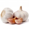 Price: €2.95 - German Extra Hardy Garlic cloves - Seeds Gallery