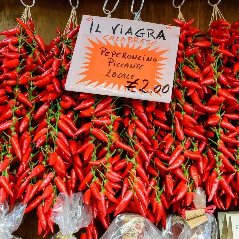 Sementes de pimentão Italianos PEPERONCINI