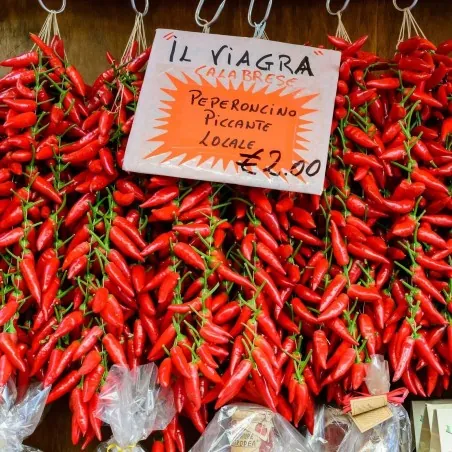 Sementes de pimentão Italianos PEPERONCINI