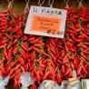 Sementes de pimentão Italianos PEPERONCINI