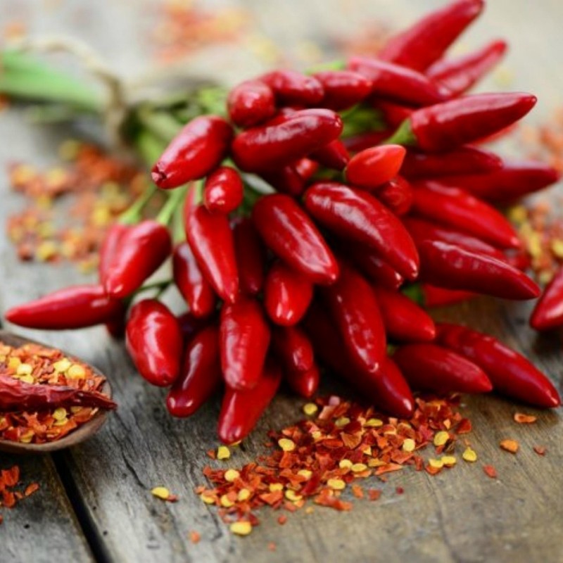 Price: €1.85 - Σπόροι Χιλή Ιταλικά PEPERONCINI - 