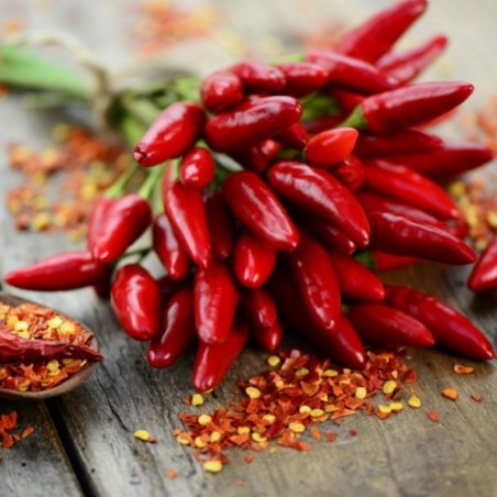Price: €1.85 - Italienska PEPERONCINI Chili Frön -