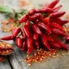Sementes de pimentão Italianos PEPERONCINI