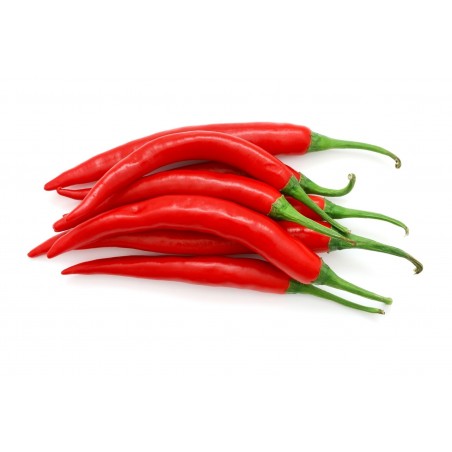 Price: €1.7 - Sementes de Pimenta RING OF FIRE - 