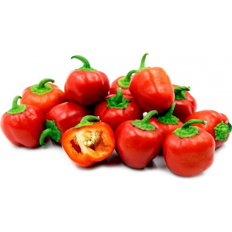 Sementes de Pimenta Doce MINI BELL Vermelho 1.5 - 1