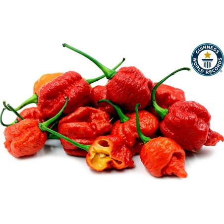 Sementes de Pimenta Carolina Reaper (vermelha, marrom, amarela)