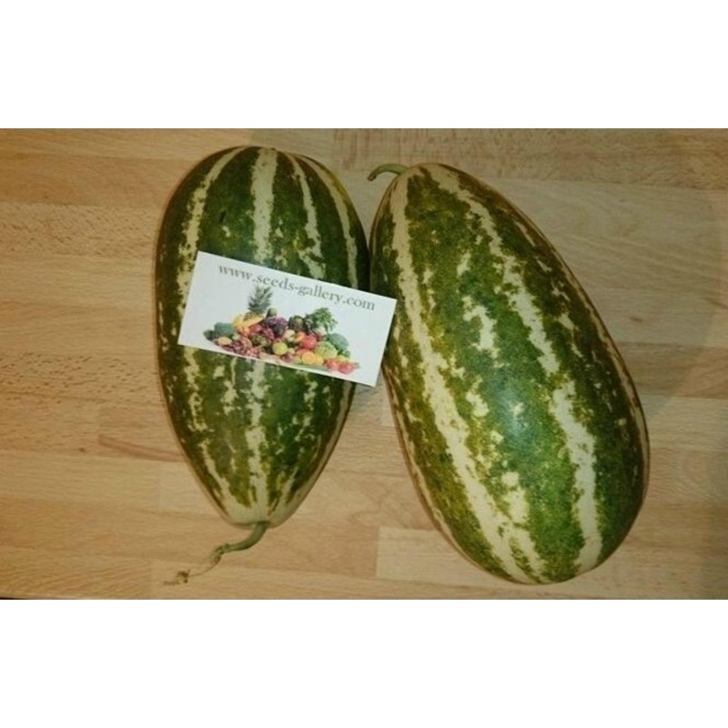 Price: €1.95 - Sementes de melão doce Tailandês Musk - Seeds Gallery