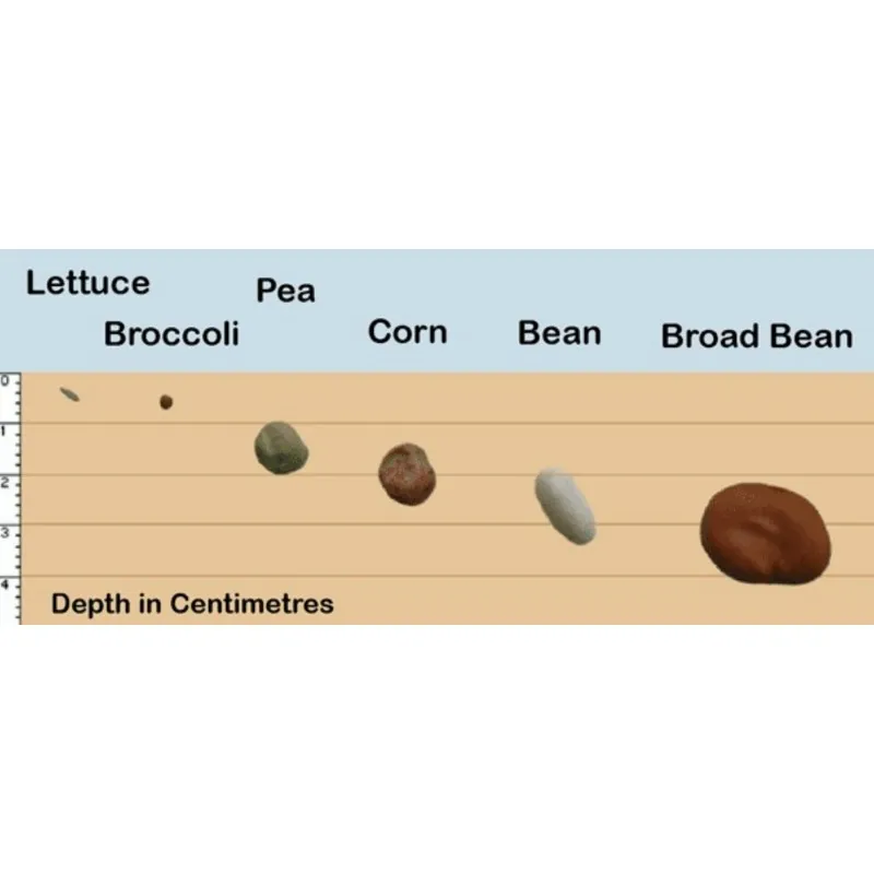 Seeds Gallery Depth Planting Guide