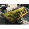 Price: €1.95 - Sementes de melão doce Tailandês Musk - Seeds Gallery