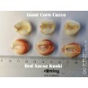 Price: €2.25 - Seme dzinovskog kukuruza Cuzco - Cusco - 