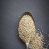 Price: €1.35 - Amaranth Seeds (Amaranthus) - 