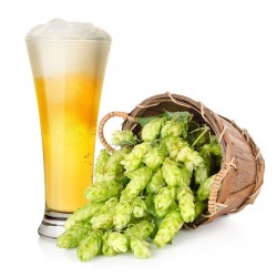 Price: €1.85 - Humle Frön (Humulus lupulus) - 