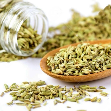 Tempero de Funcho (Foeniculum vulgare)