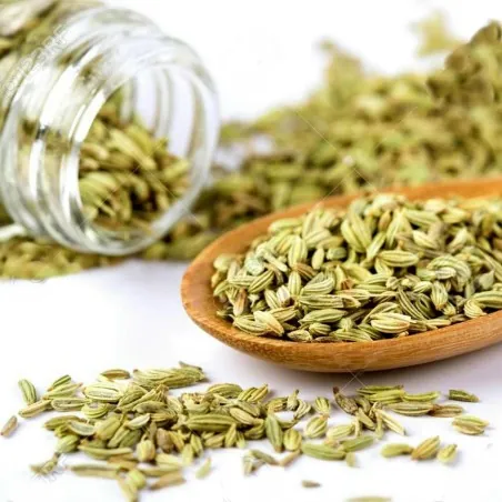Tempero de Funcho (Foeniculum vulgare)