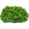 Price: €1.95 - Moskrul Persun Seme Mooskrause 2 - 