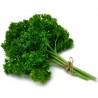 Price: €1.95 - Moskrul Persun Seme Mooskrause 2 - 