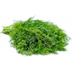 Price: €1.6 - Semillas de eneldo o abesón (Anethum graveolens) - 
