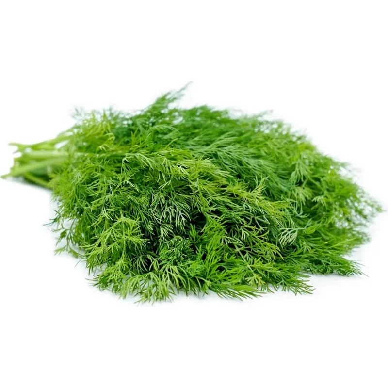 Σπόροι Άνηθος (Anethum Graveolens)
